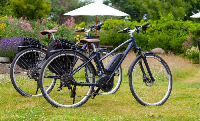 Newport eBike Hire available on site.
